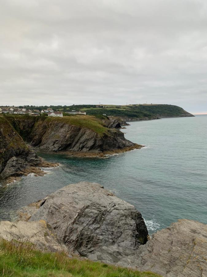 Wild Coastal Retreat At Troed Y Rhiw Aberporth, West Wales Villa Luaran gambar