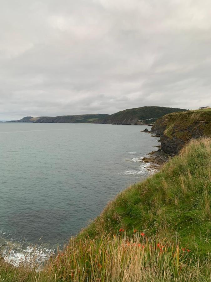 Wild Coastal Retreat At Troed Y Rhiw Aberporth, West Wales Villa Luaran gambar