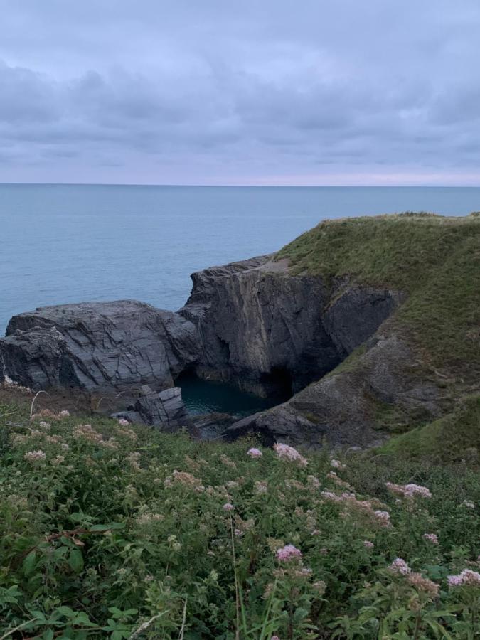 Wild Coastal Retreat At Troed Y Rhiw Aberporth, West Wales Villa Luaran gambar