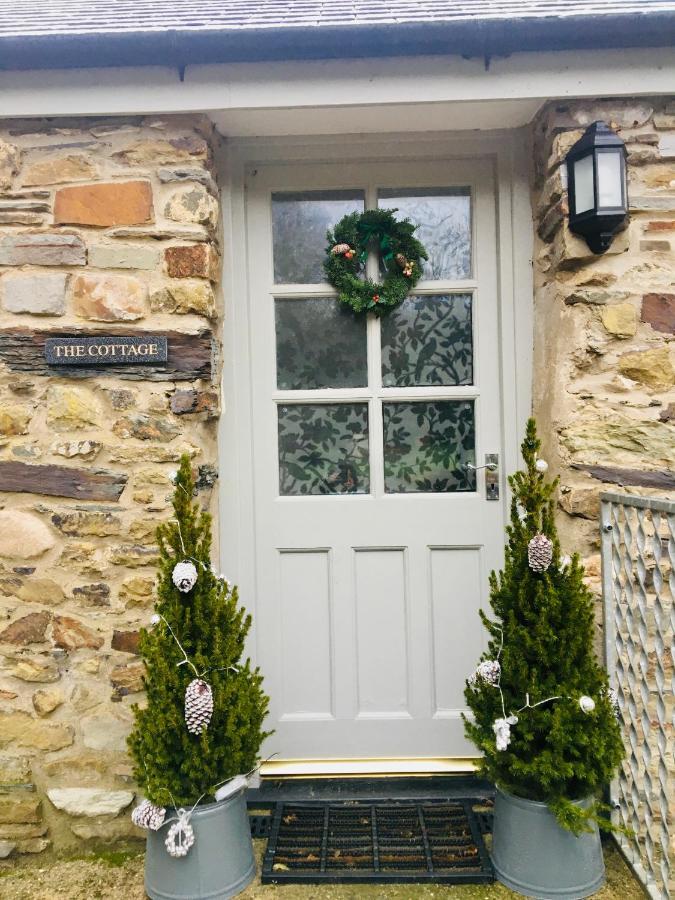 Wild Coastal Retreat At Troed Y Rhiw Aberporth, West Wales Villa Luaran gambar