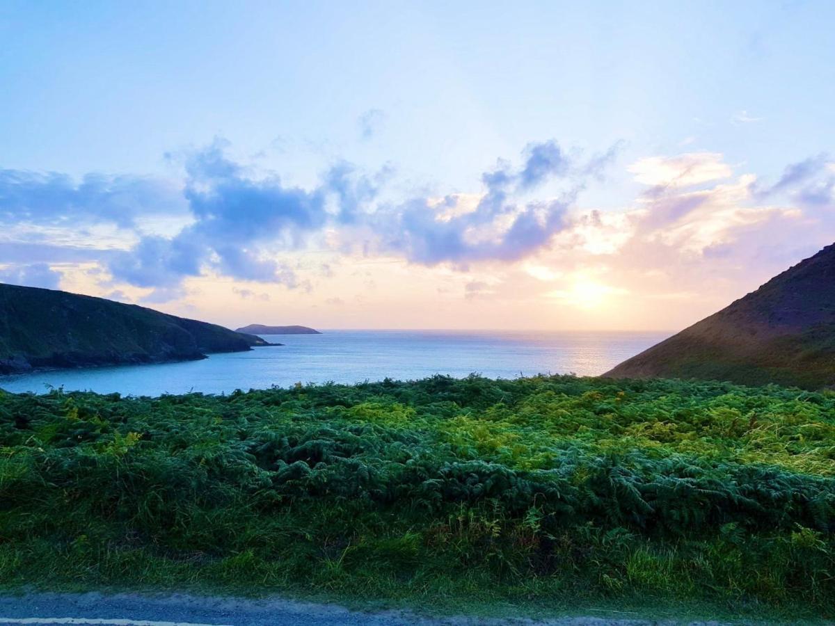 Wild Coastal Retreat At Troed Y Rhiw Aberporth, West Wales Villa Luaran gambar